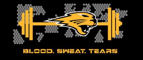 RMS Weight Training  