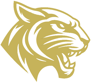new panther