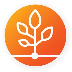 Pursue Logo 