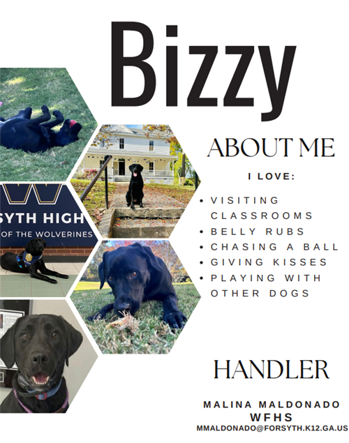 bizzy