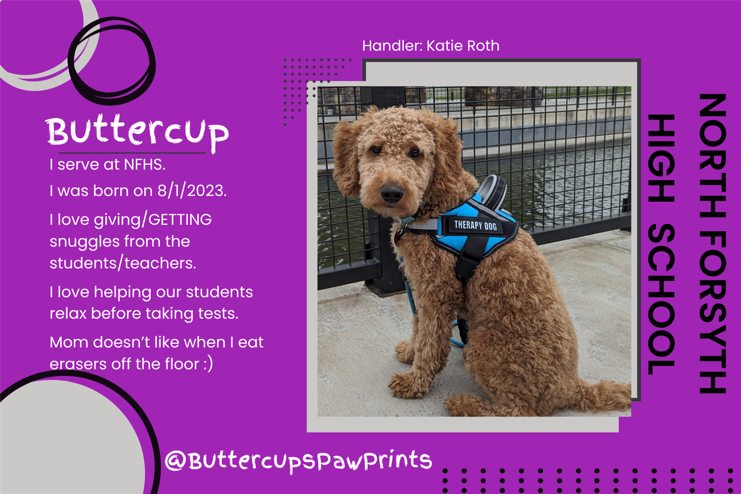 buttercup