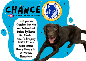 chance