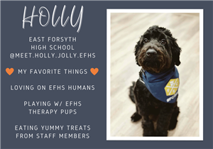 holly