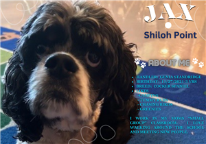 jax