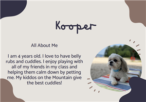 kooper