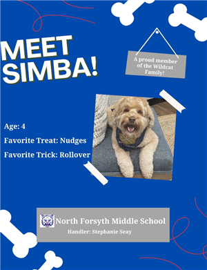 simba
