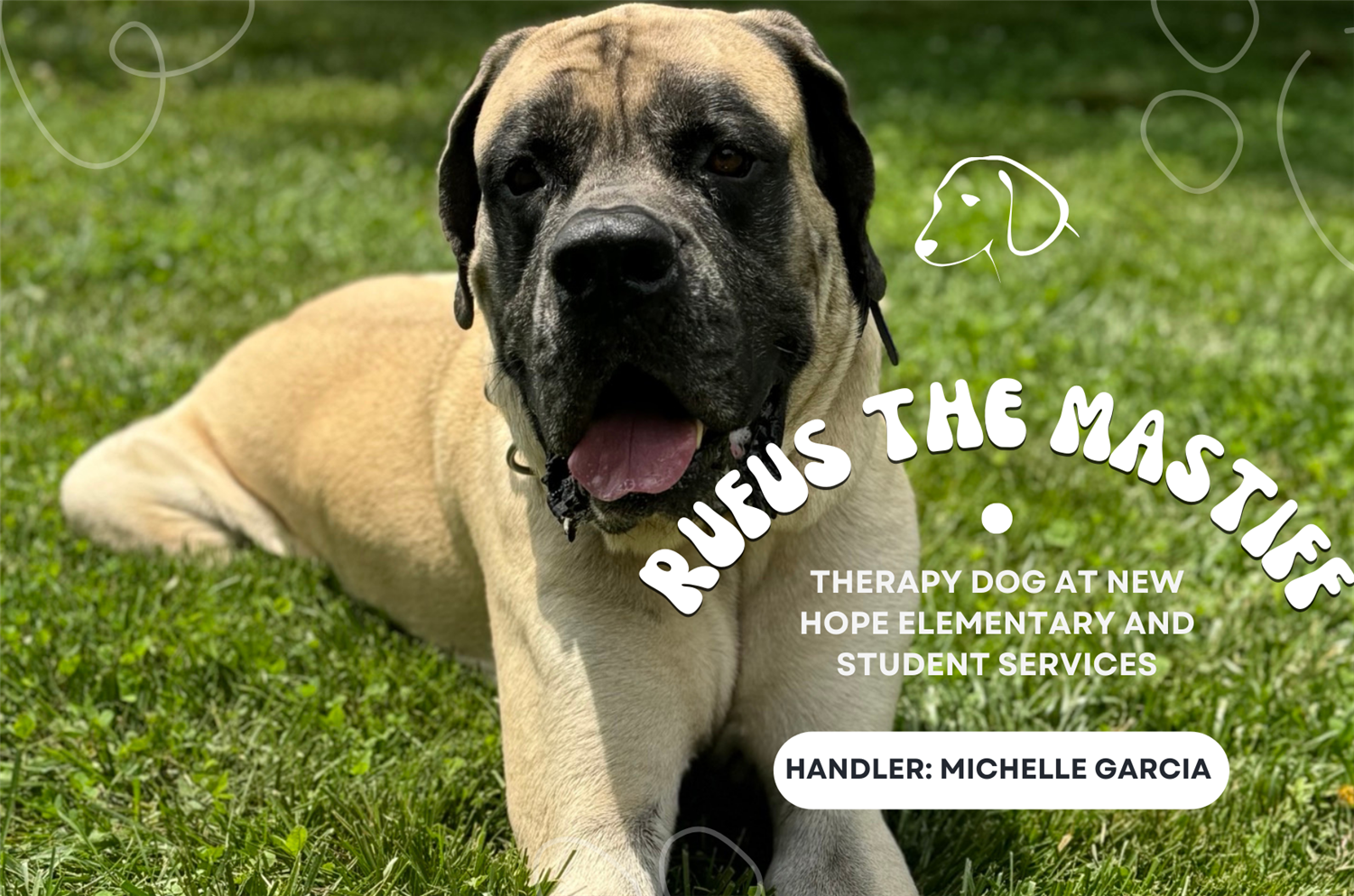 rufus