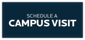 visit 