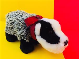 badgers 