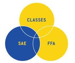 3 Circle Model Logo 