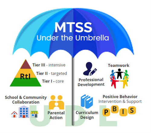 MTSS Umbrella 