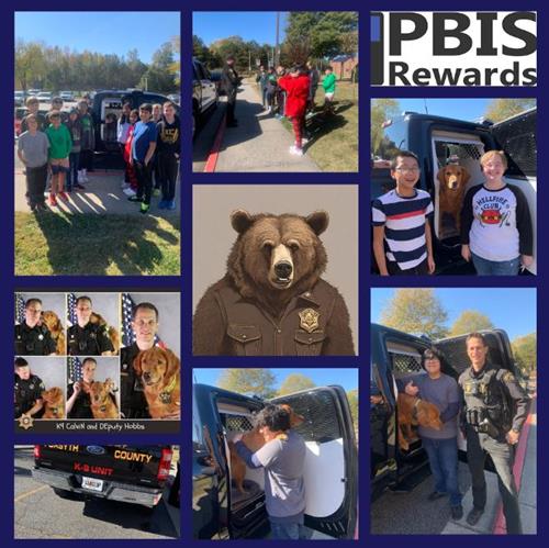 Pbis Rewards Pictures