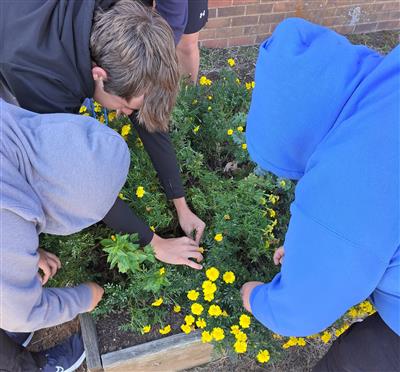 Gardening and Horticulture