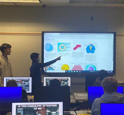 Website Presentation