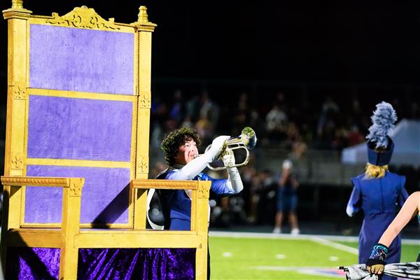 Flugel Solo