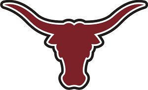 Longhorn 